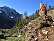 15 Aquila reale scolpita in tronco d'abete con vista in Corno Branchino